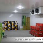 سردخانه خرما
